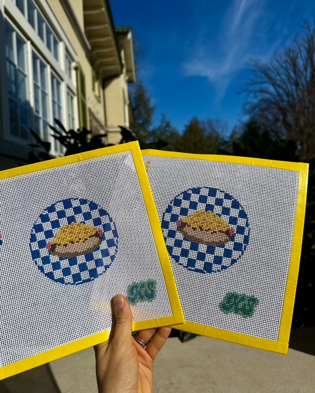 checkered coney (13-mesh)