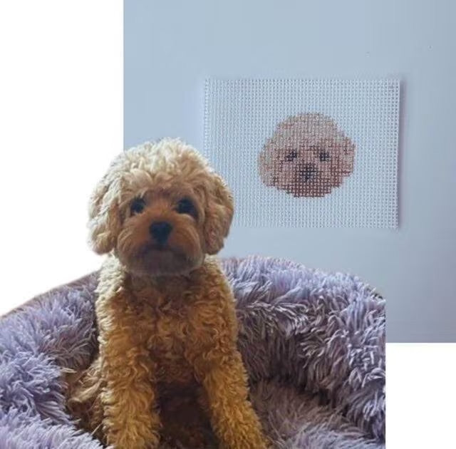 custom pet portrait canvas