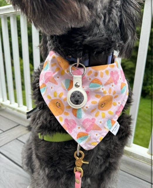 custom pet portrait canvas