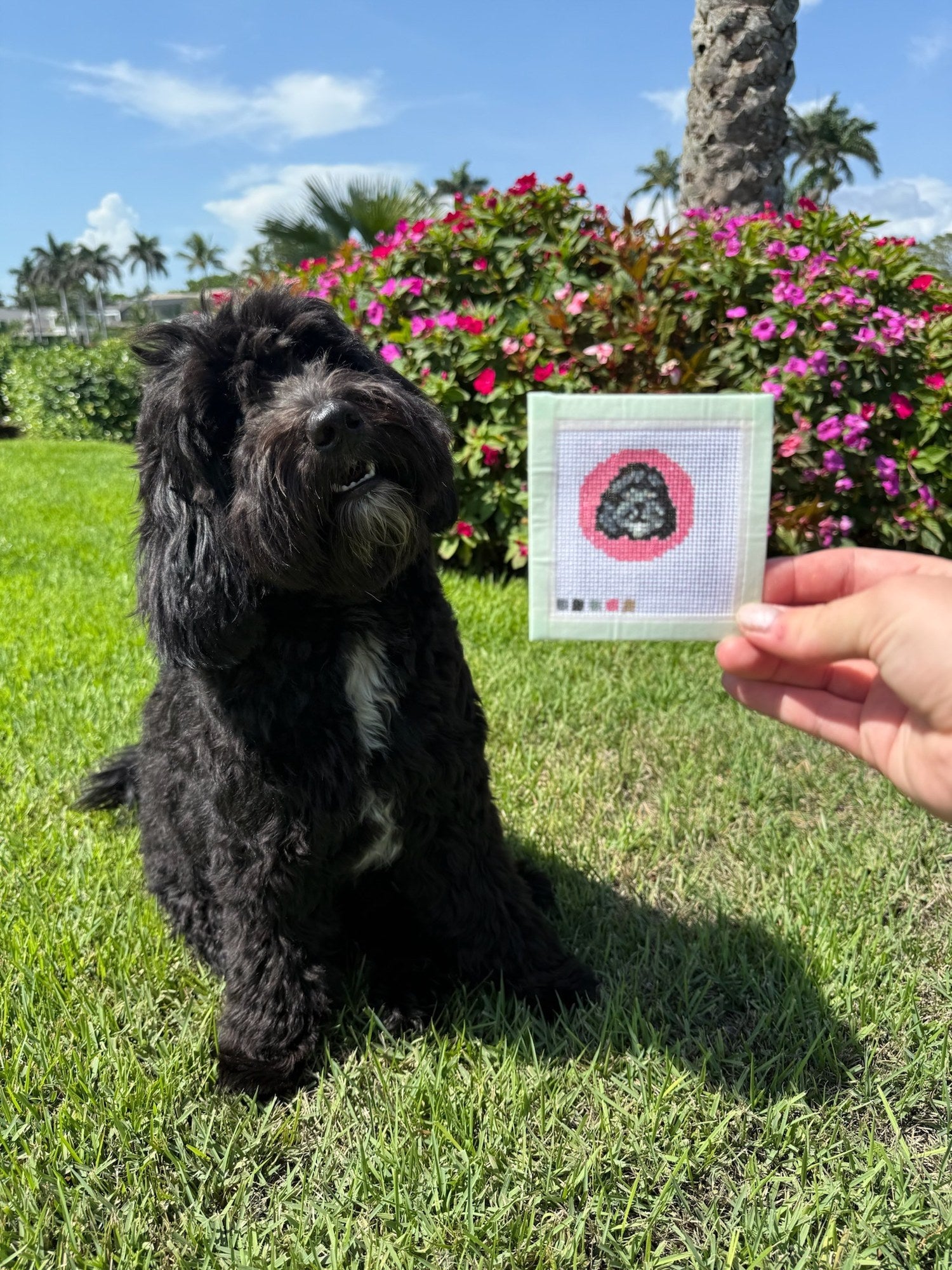 a black doodle sitting in the grass beside its hand-painted needlepoint pet portrait