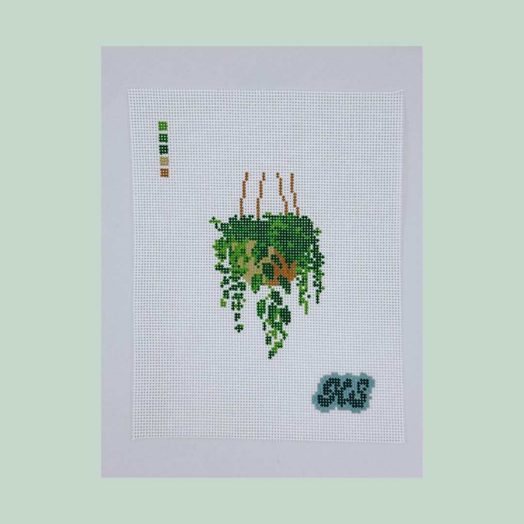 hanging plant